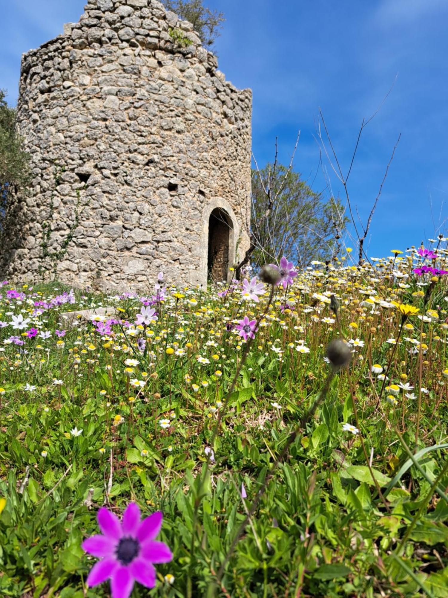 Αγναντιο Μεζονέτα 110 Τ.Μ. Villa Spanokhorion ภายนอก รูปภาพ
